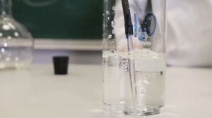 "Лабораторный журнал. Химия" Аппарат Киппа.