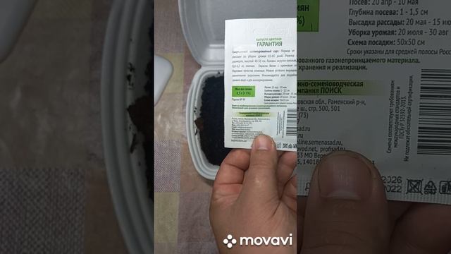 ПОСАДКА ЦВЕТНОЙ КАПУСТЫ. ОГОРОД НА КУБАНИ. SHORTS# смотреть онлайн