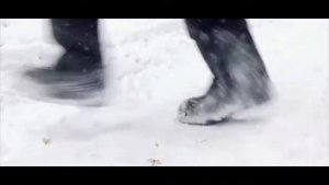 Нейромонах Феофан холодно в лесу ( слушать до конца)