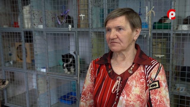 Доброе сердце 17.05.2024 смотреть онлайн