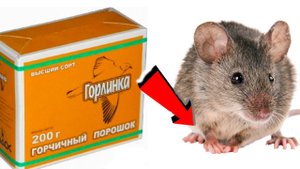 Как избавиться от крыс За 3 Секунды!!!