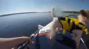 игры в воде  в спасательном  жилете