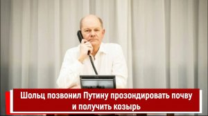 Шольц позвонил Путину прозондировать почву и получить козырь