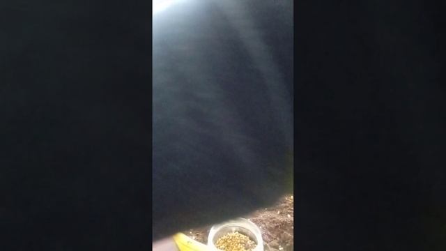 6 апреля 2024 г. смотреть онлайн