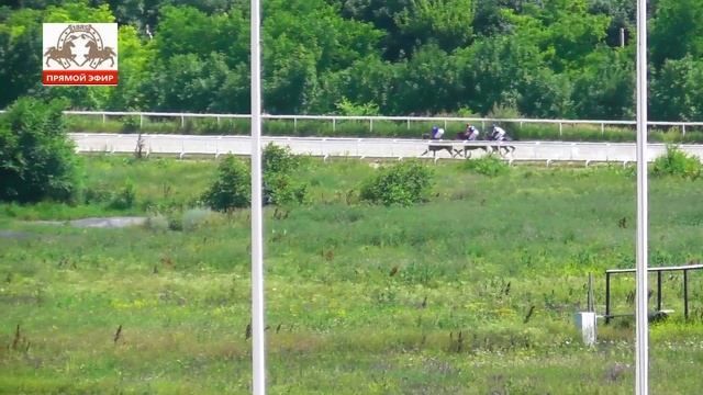 02.07.2023 Приз имени М.Н. Эфроа (Приз "Анилина") Победитель Кабирхан смотреть онлайн