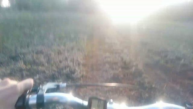 дорога привела в лес еле Завëлся в лесу покатушки от 1 лица часть 3 (финал) смотреть онлайн