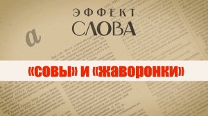 Эффект слова: «совы» и «жаворонки»