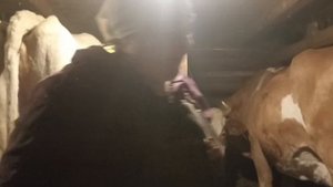 Избавляемся от кисты! Получится или не получится?..