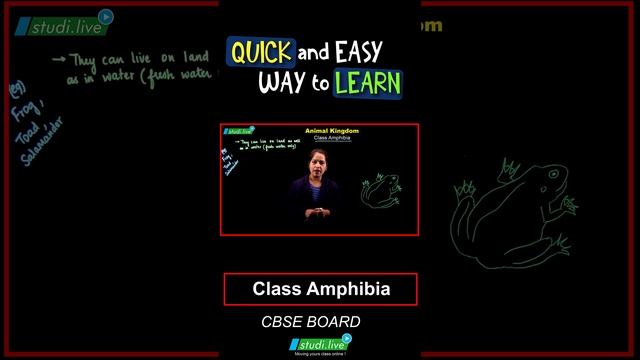 Class Amphibia || Biology || Animal Kingdom || #exams #school #study #sciencefacts #education