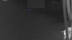 Pulsar axion 2 Xq 35