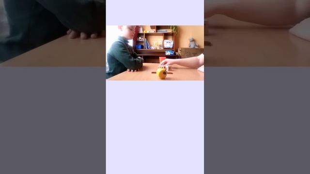 Совместный контроль это принцип поведения