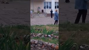 Купала сухополь 2019