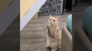 Дайте!!!