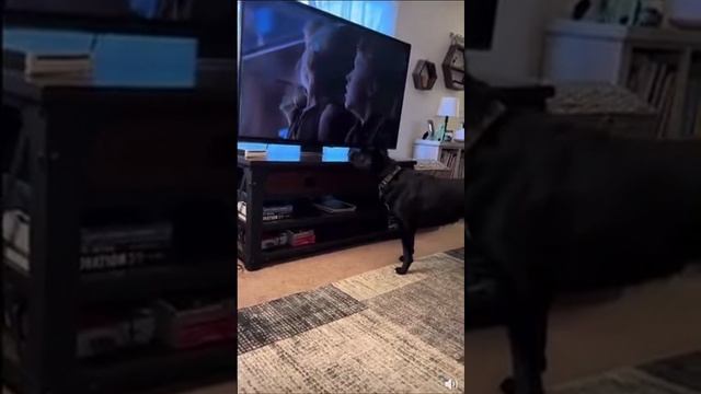 Когда смотришь ну очень остросюжетное кино!