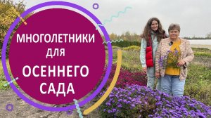 Многолетники для осеннего сада в питомнике растений "Лесково"