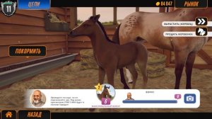 Rival Stars Horse Racing. Новые породы ! Арабская и французский сель!