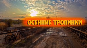 Осенний заезд, банда лебедей и крутой подъем