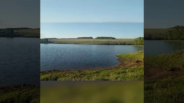 Сердцу милые места #ФШМ2023 #ОткрытыйМузей