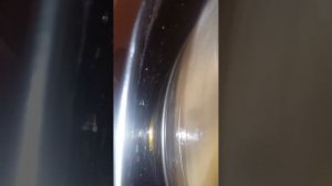 Откачка меда из магазинных рамок радиальной медогонкой.