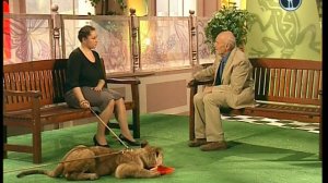 В мире животных с Николаем Дроздовым 2012 г  Выпуск - 31