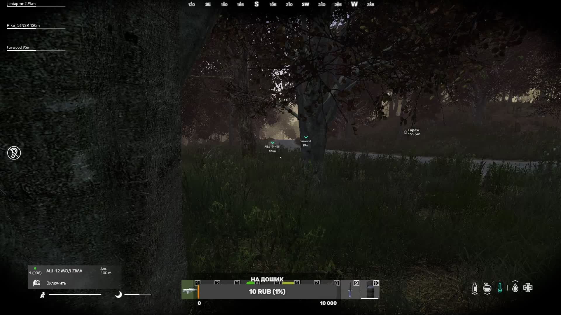 DayZ