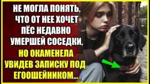 Не могла понять, что от нее хочет пёс почившей СОСЕДКИ, но окаменела увидев под ошейником записку.