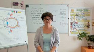 Запись вебинара: Пептид для глаз Signum 31
