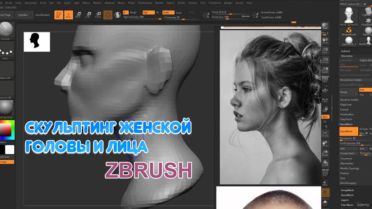 Скульптинг женской головы и лица в ZBrush