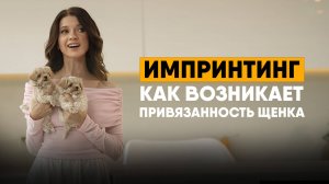 Что такое импринтинг. Первая привязанность у собак и людей. Почему щенок кусается.