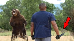 Медведица просила помощи у человека, рискуя жизнью ради спасения своего медвежонка