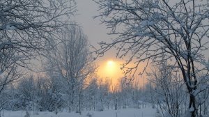 Очарование снежной зимы. Музыка Андрея Обидина.