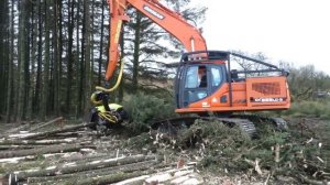 Харвестерная головка на экскаваторе Doosan DX225