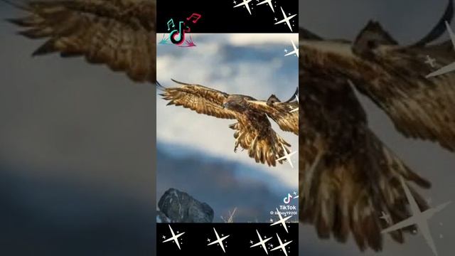 Вольному воля
