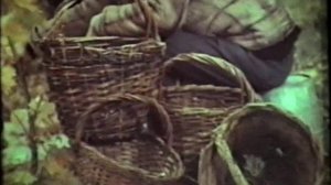 Всесоюзный киножурнал "Фитиль" № 91 1969 г