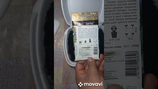 ПОСАДКА КАПУСТЫ БРОКОЛЛИ НА РАССАДУ. ОГОРОД НА КУБАНИ. shorts# смотреть онлайн