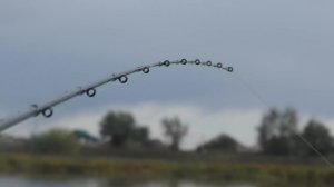 Осенняя рыбалка в Астрахани 2022 Какой способ и остнастка показали результат