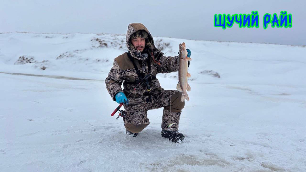 Щучий рай! Рыбалка на карьере. #рыбалка #щука #зимняяловлярыбы #deeper
