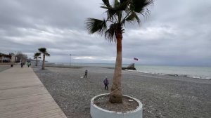 Сочи. Шторм. Поздравляем!