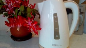 Чайник HOMECLUB