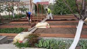 Вносим навоз. Готовим красивые грядки к посадке))