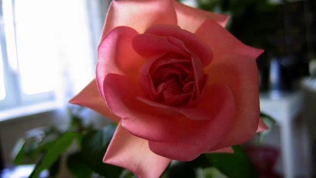 Слушать новую медленную песню и фото онлайн смотреть онлайн