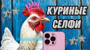 Мы не знали, что наши наседки такие непоседы