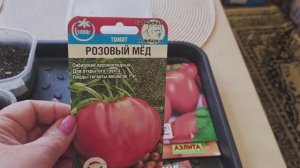 Купила еще немного семян томатов, которые хотела, посев 13 марта!🍅🍅🍅 Обзор петунии, как есть.