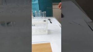 Разложение перекиси водорода в присутствии катализатора MnO2. лабораторный опыт 10 (8класс)