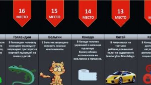 Самые странные и глупые законы мира 2022