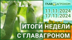 Итоги недели с ГлавАгроном. 11.11.2024 - 17.11.2024