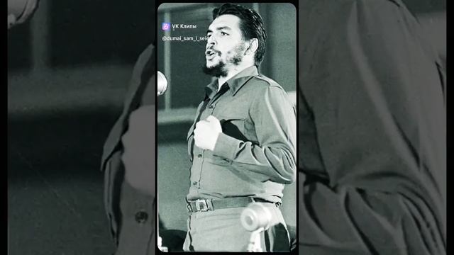 Цитатник Че. #новости #задумайся #цитаты смотреть онлайн