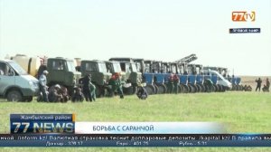 БОРЬБА С САРАНЧОЙ