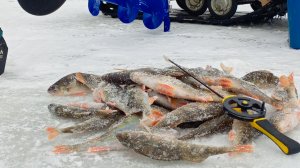 ПЕРВЫЙ ЛЁД 2024-2025.НАЛОВИЛ ОКУНЯ НА БЕЗМОТЫЛКУ.