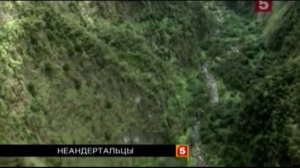 Антропогенез